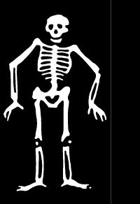 Naked web components logo which is a cartoon skeleton.